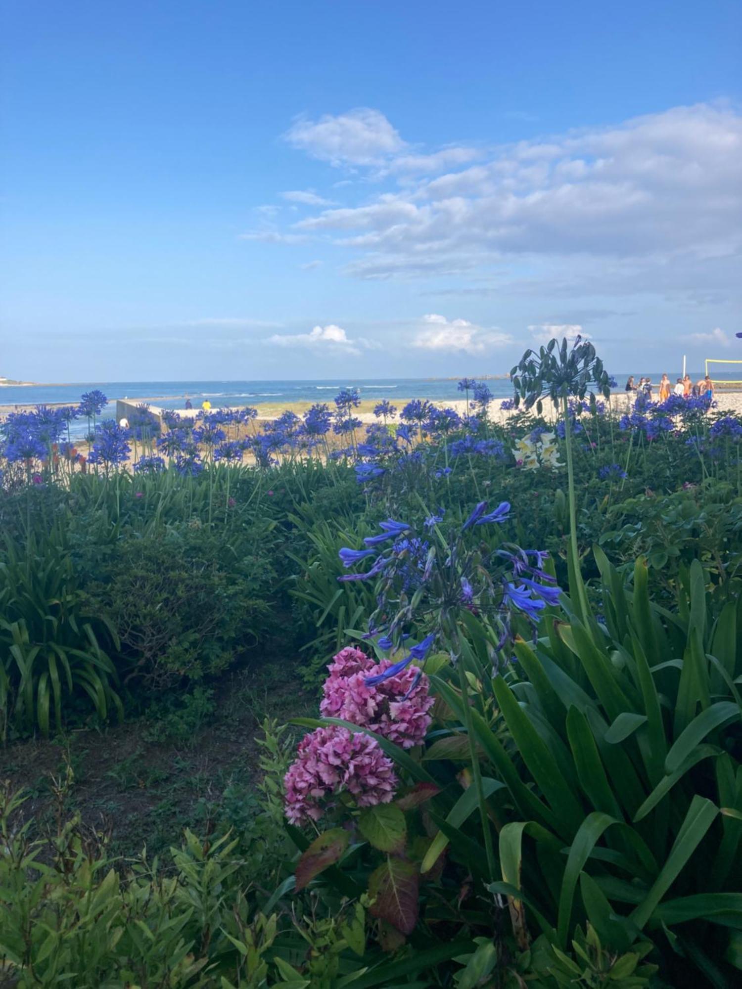 Villa Ster Et Mer Plobannalec-Lesconil Bagian luar foto